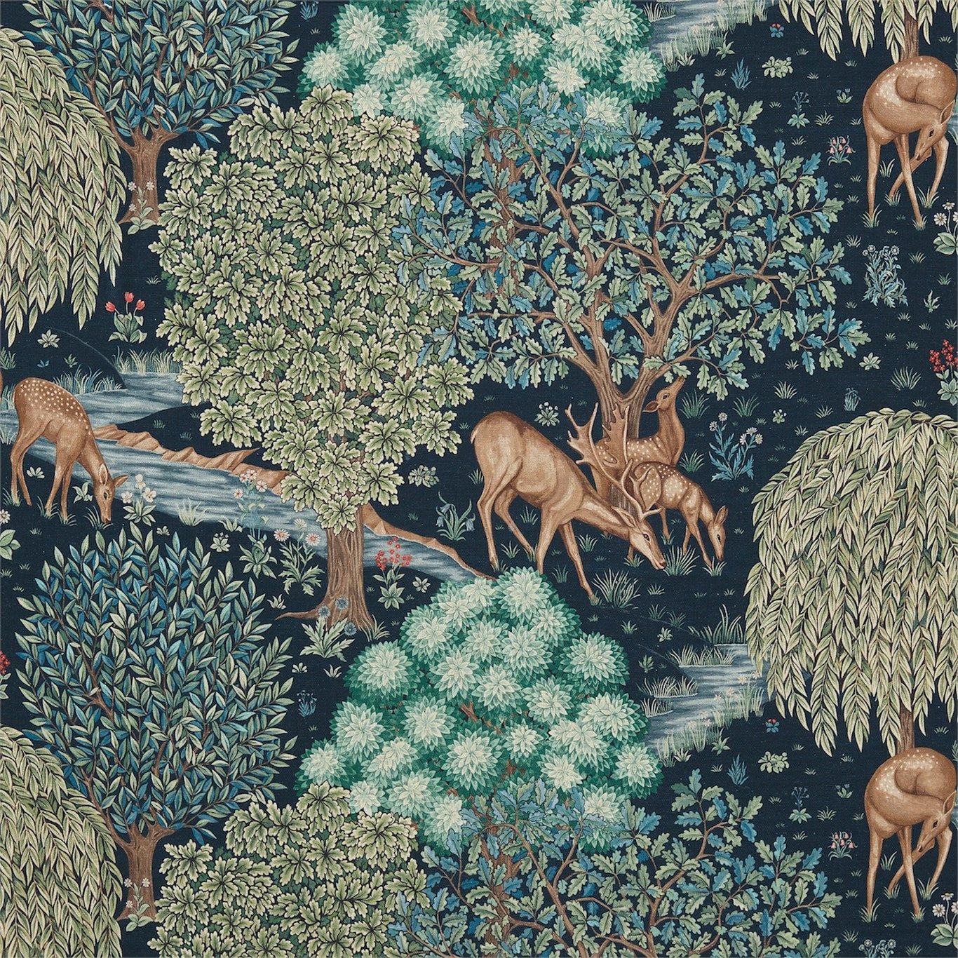 image3